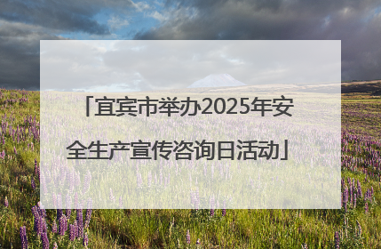 宜宾市举办2025年安全生产宣传咨询日活动
